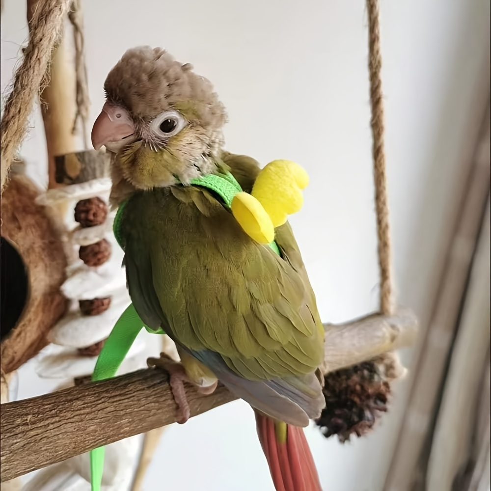 Cat and Dog Food, Pet toys,Treats, and Supplies | Free Shipping at yppet.com