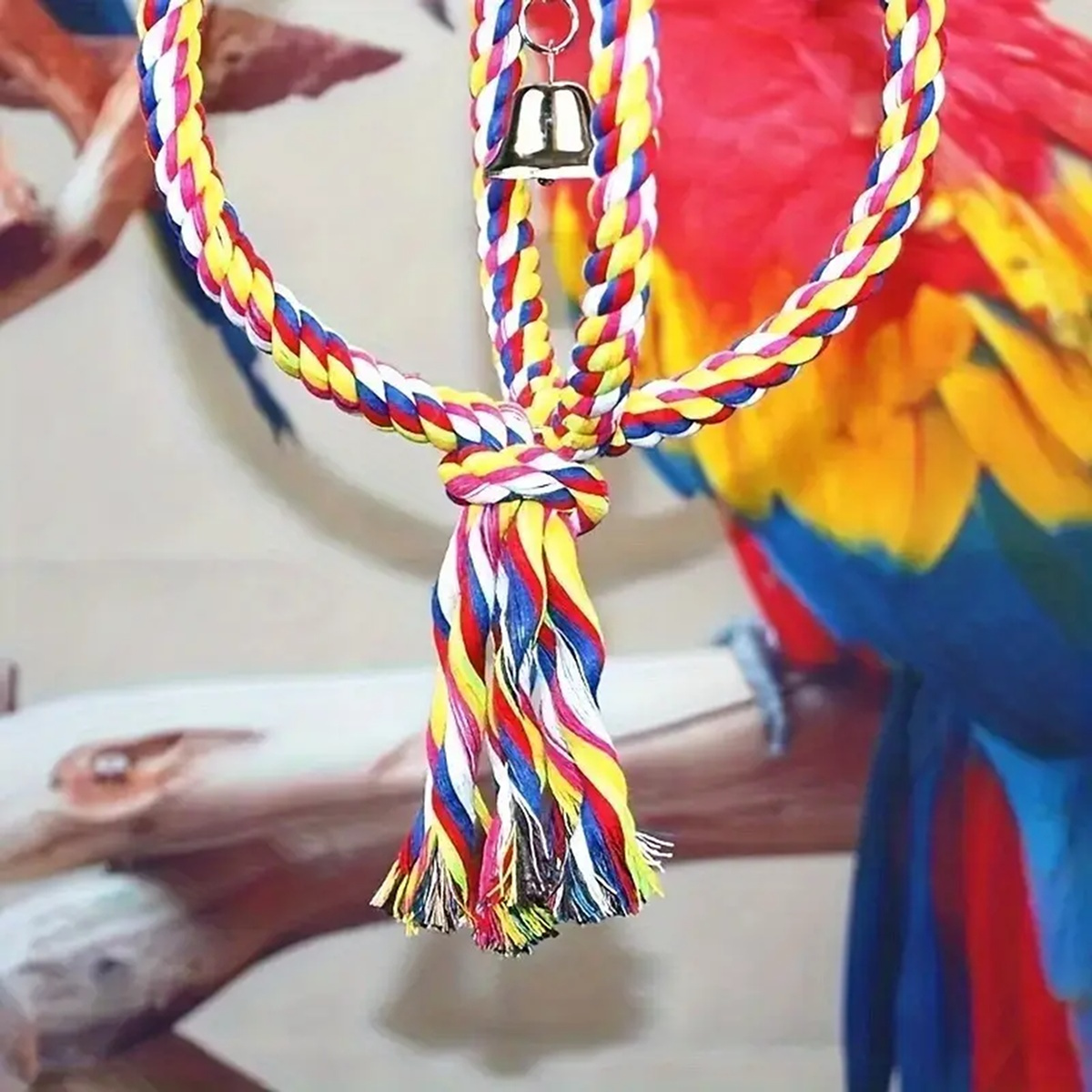 Cat and Dog Food, Pet toys,Treats, and Supplies | Free Shipping at yppet.com