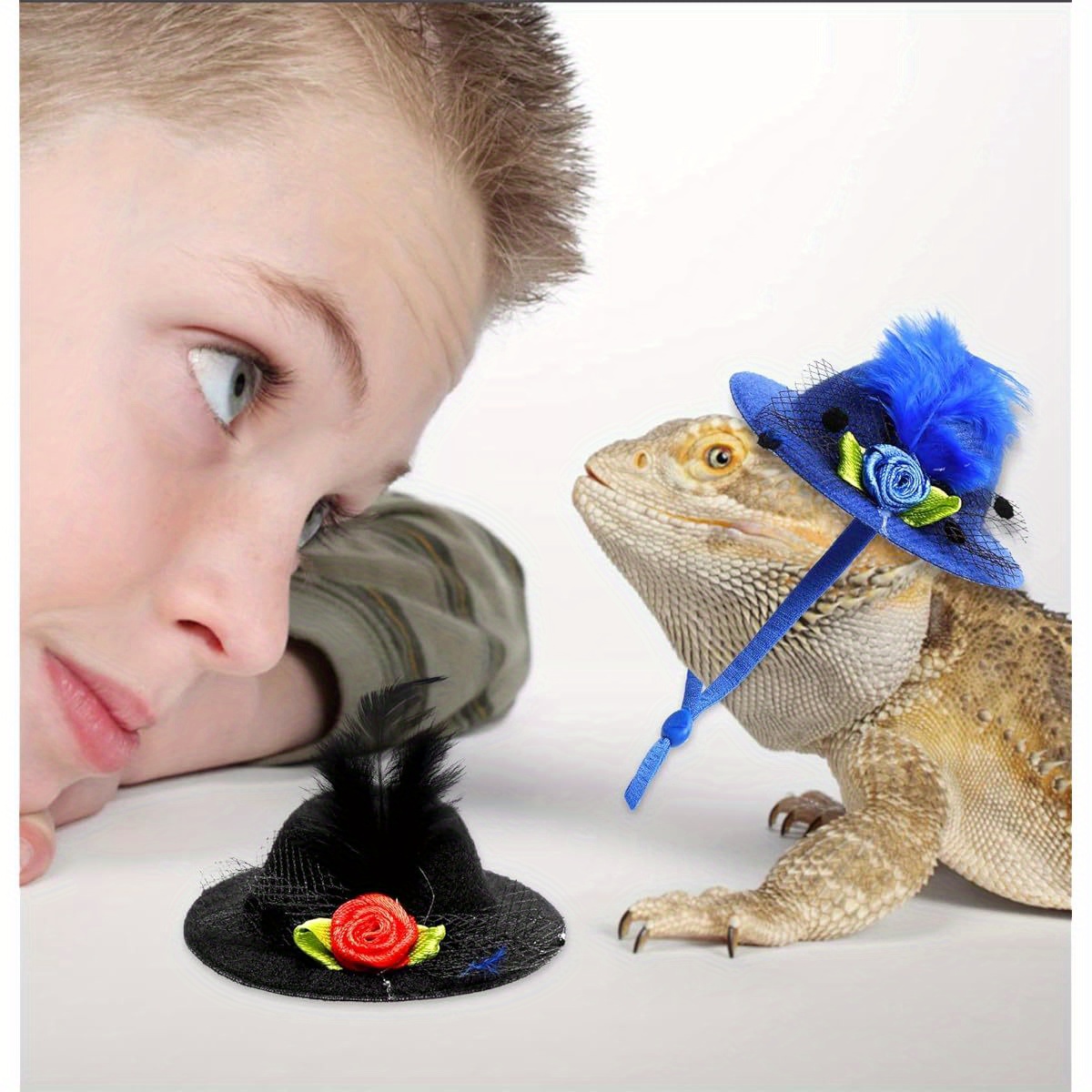 Cat and Dog Food, Pet toys,Treats, and Supplies | Free Shipping at yppet.com