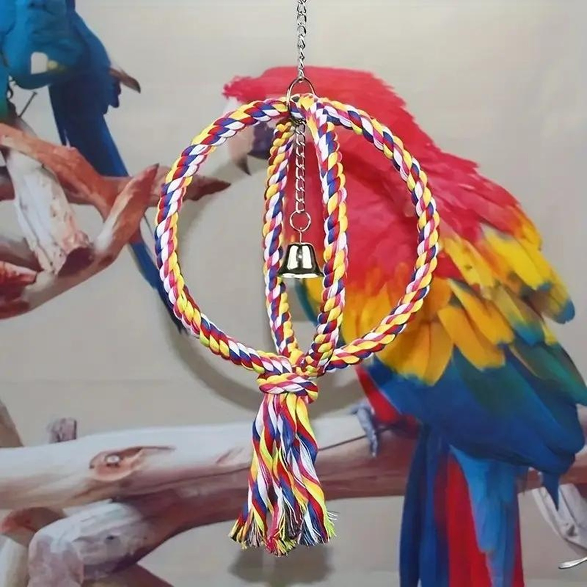 Cat and Dog Food, Pet toys,Treats, and Supplies | Free Shipping at yppet.com