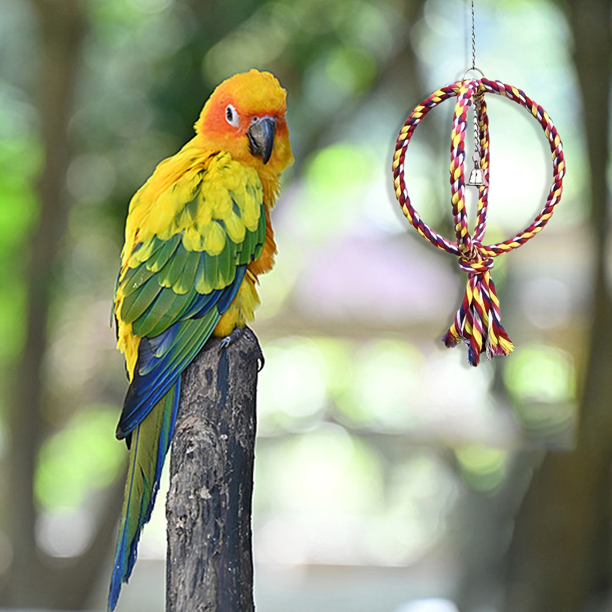 Cat and Dog Food, Pet toys,Treats, and Supplies | Free Shipping at yppet.com