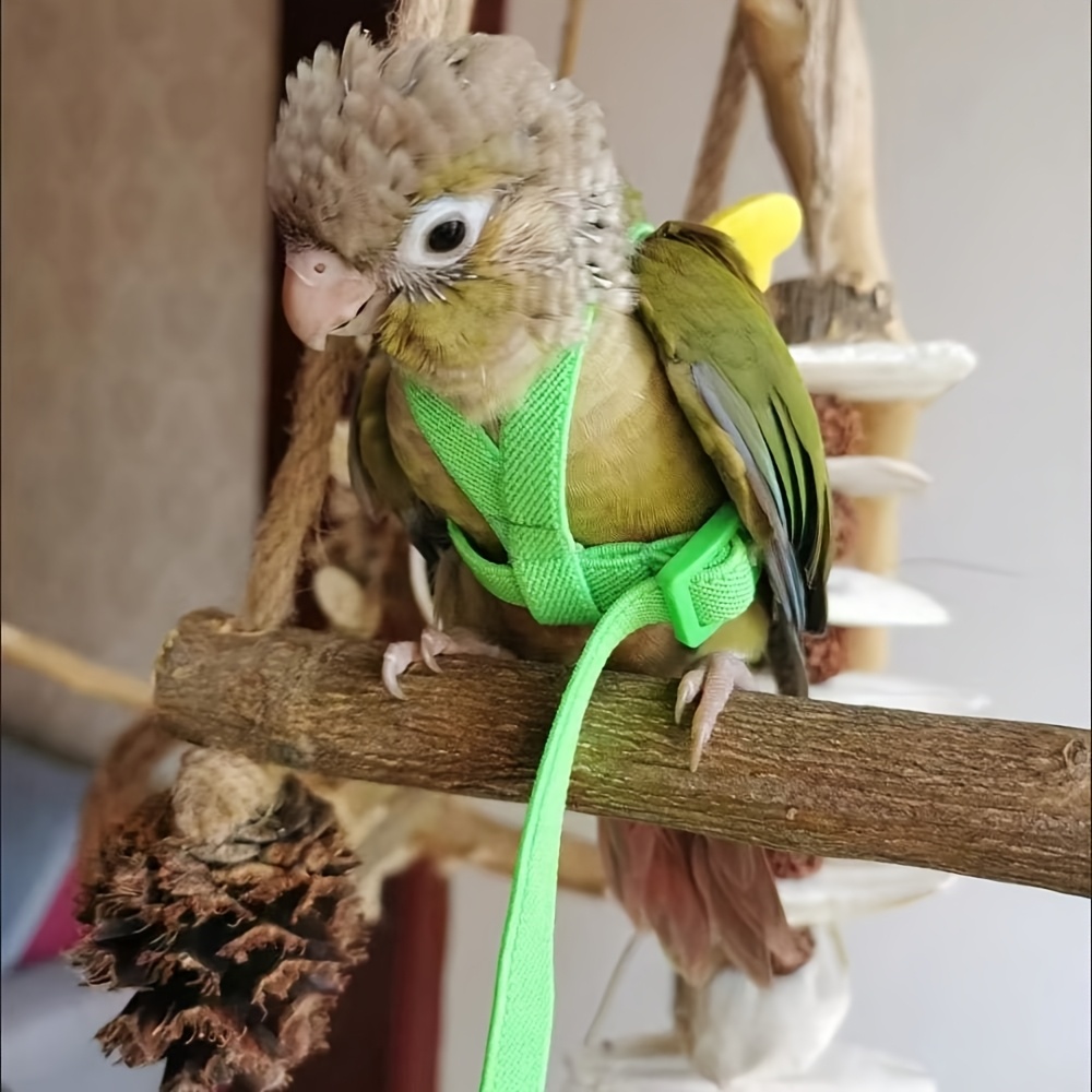 Cat and Dog Food, Pet toys,Treats, and Supplies | Free Shipping at yppet.com