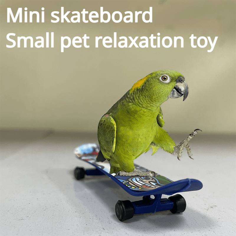 Cat and Dog Food, Pet toys,Treats, and Supplies | Free Shipping at yppet.com
