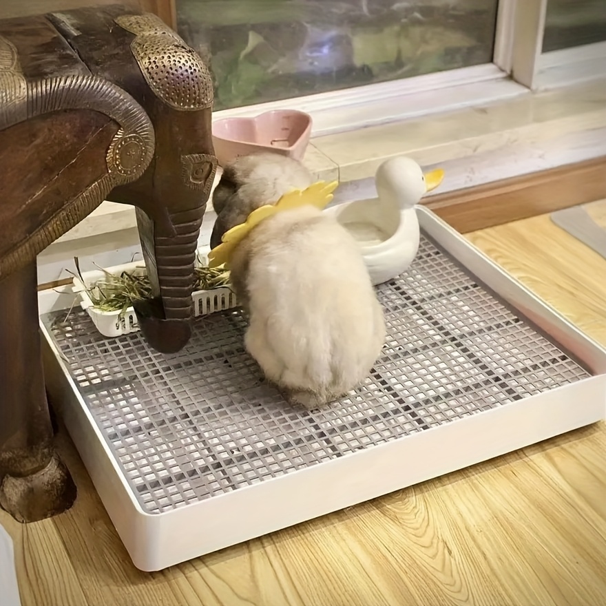 Cat and Dog Food, Pet toys,Treats, and Supplies | Free Shipping at yppet.com