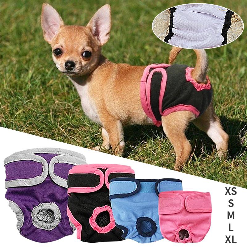 Cat and Dog Food, Pet toys,Treats, and Supplies | Free Shipping at yppet.com