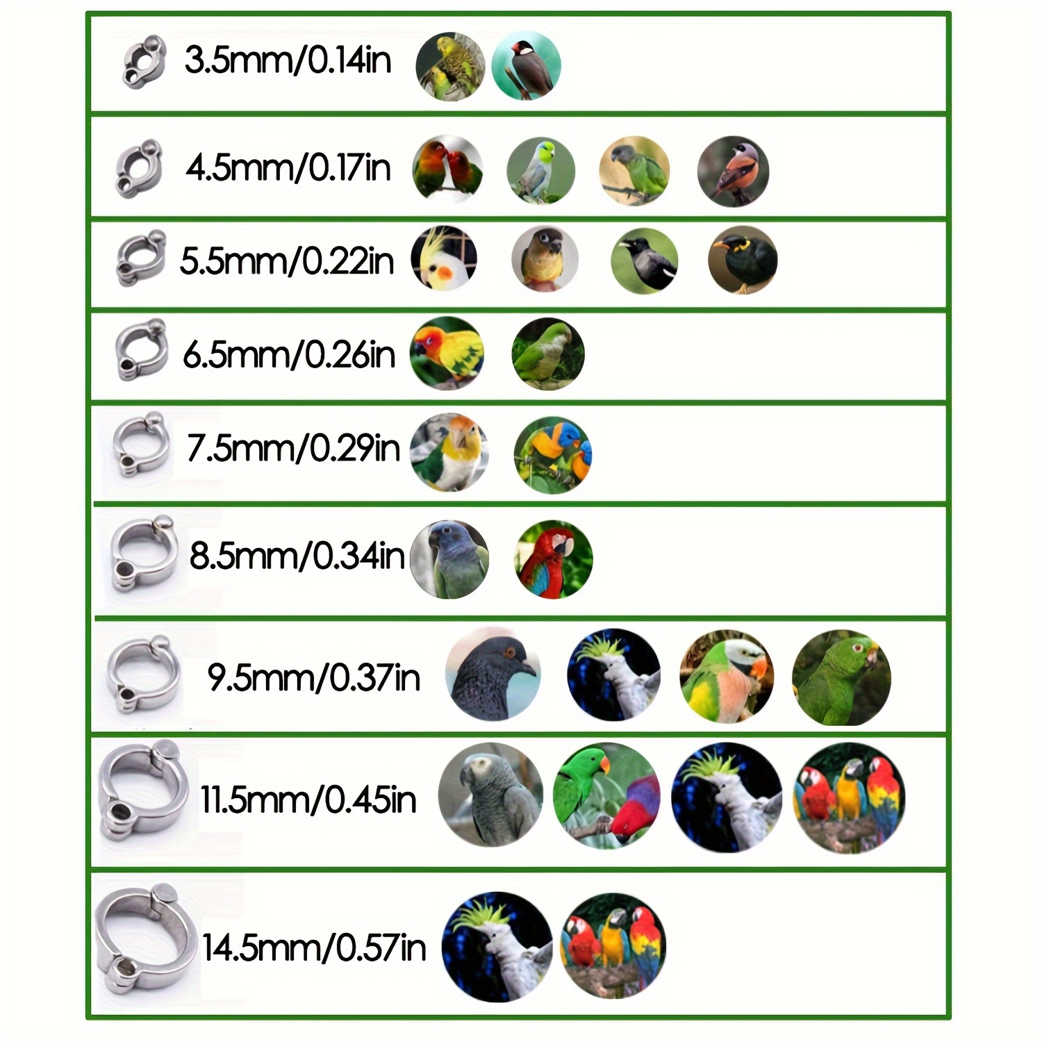 Cat and Dog Food, Pet toys,Treats, and Supplies | Free Shipping at yppet.com