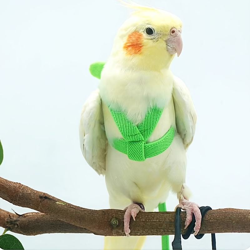 Cat and Dog Food, Pet toys,Treats, and Supplies | Free Shipping at yppet.com