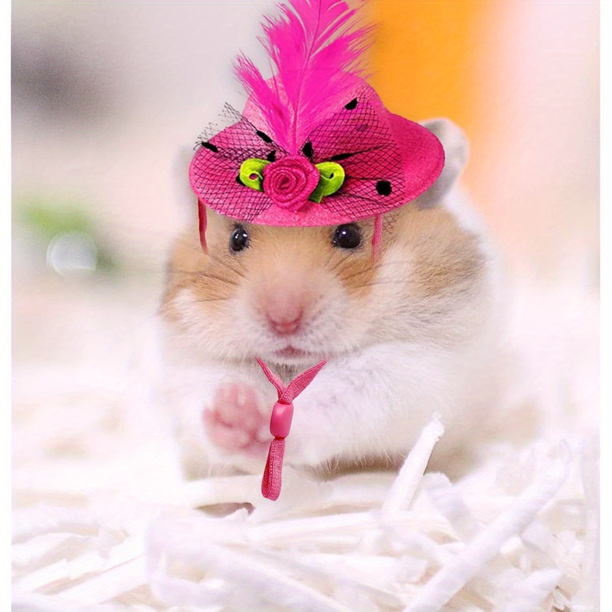 Cat and Dog Food, Pet toys,Treats, and Supplies | Free Shipping at yppet.com