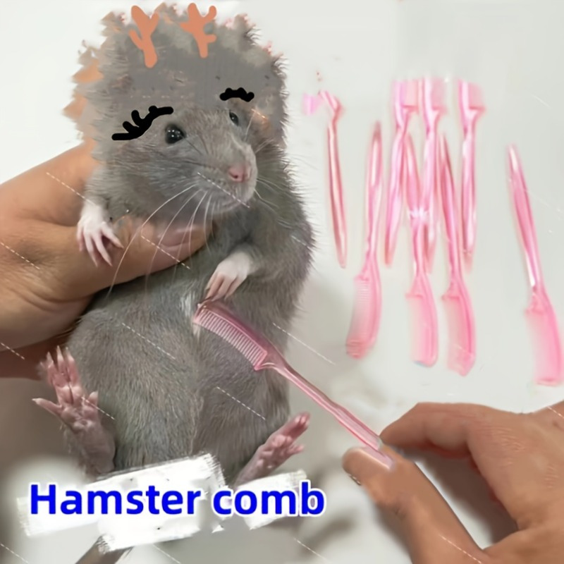 Cat and Dog Food, Pet toys,Treats, and Supplies | Free Shipping at yppet.com