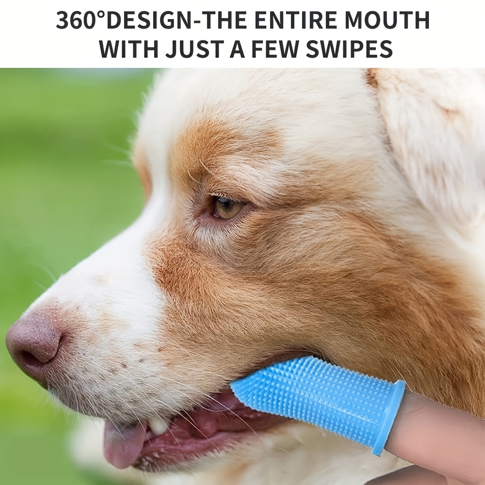 Cat and Dog Food, Pet toys,Treats, and Supplies | Free Shipping at yppet.com