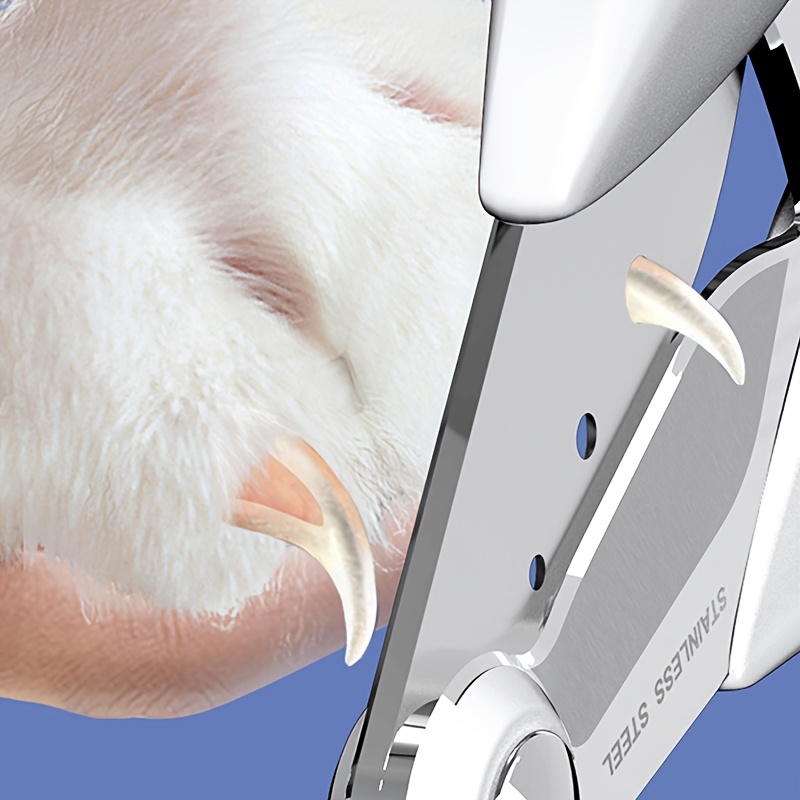 Cat and Dog Food, Pet toys,Treats, and Supplies | Free Shipping at yppet.com