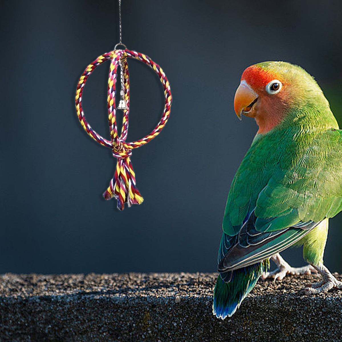 Cat and Dog Food, Pet toys,Treats, and Supplies | Free Shipping at yppet.com