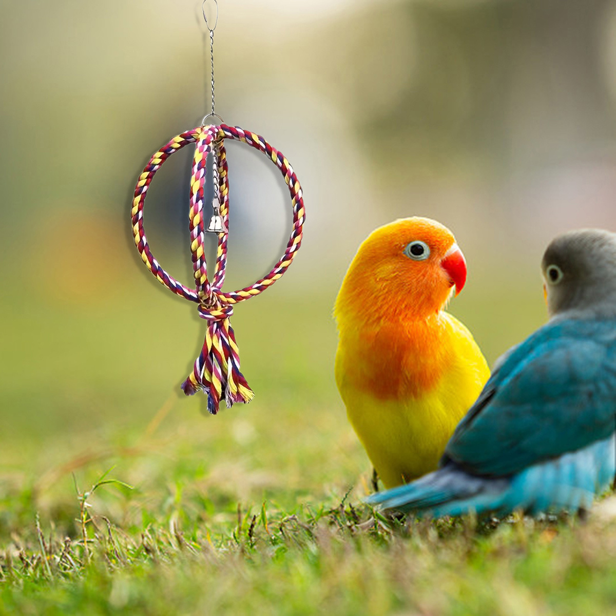 Cat and Dog Food, Pet toys,Treats, and Supplies | Free Shipping at yppet.com