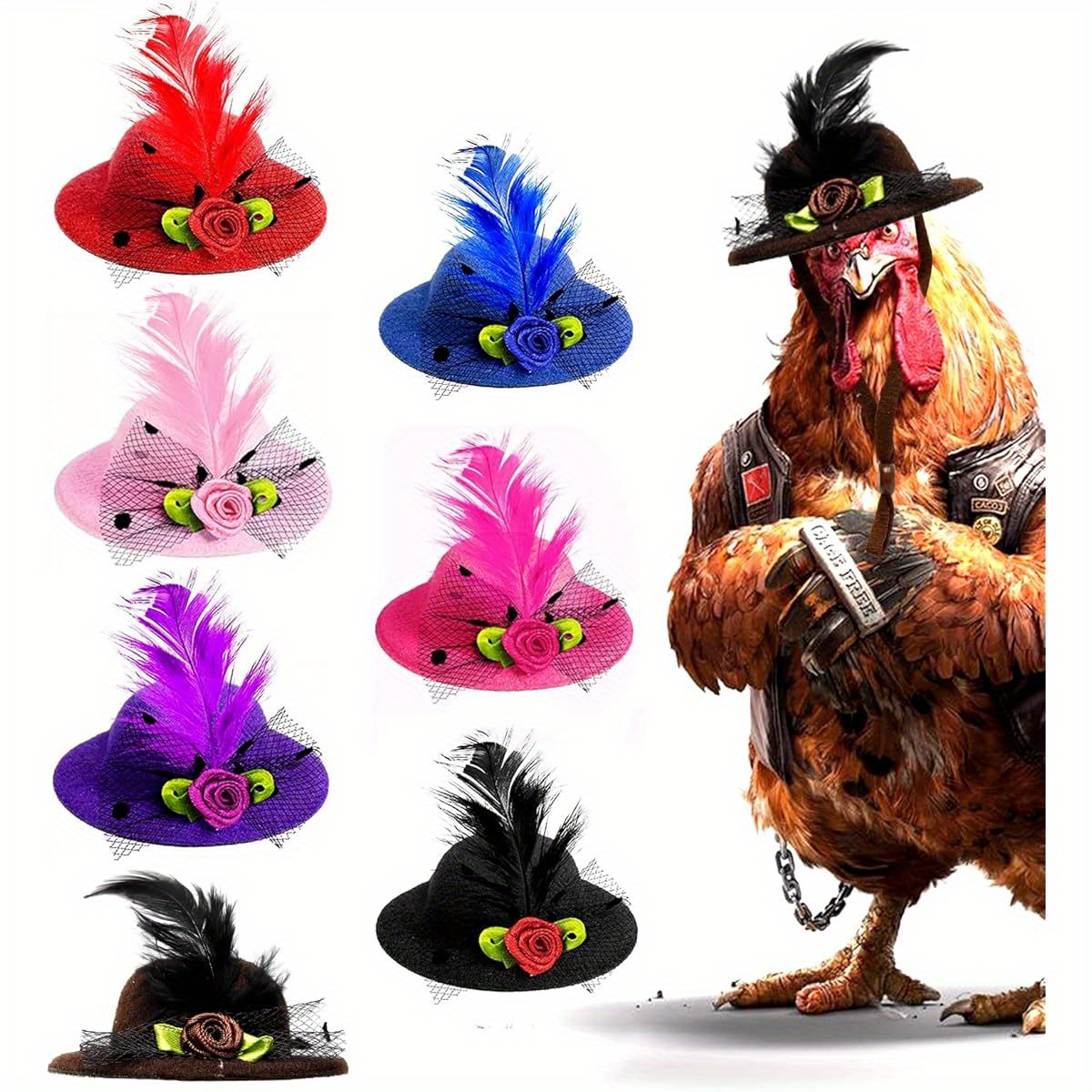 Cat and Dog Food, Pet toys,Treats, and Supplies | Free Shipping at yppet.com