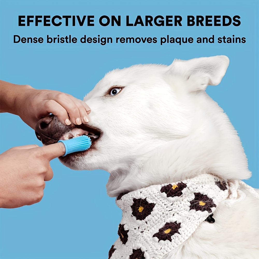 Cat and Dog Food, Pet toys,Treats, and Supplies | Free Shipping at yppet.com