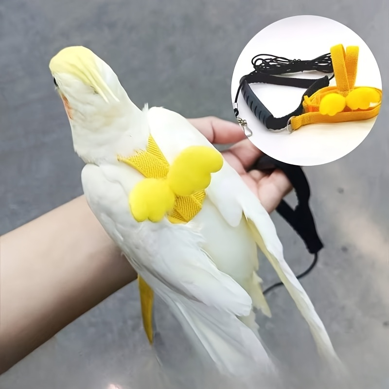 Cat and Dog Food, Pet toys,Treats, and Supplies | Free Shipping at yppet.com