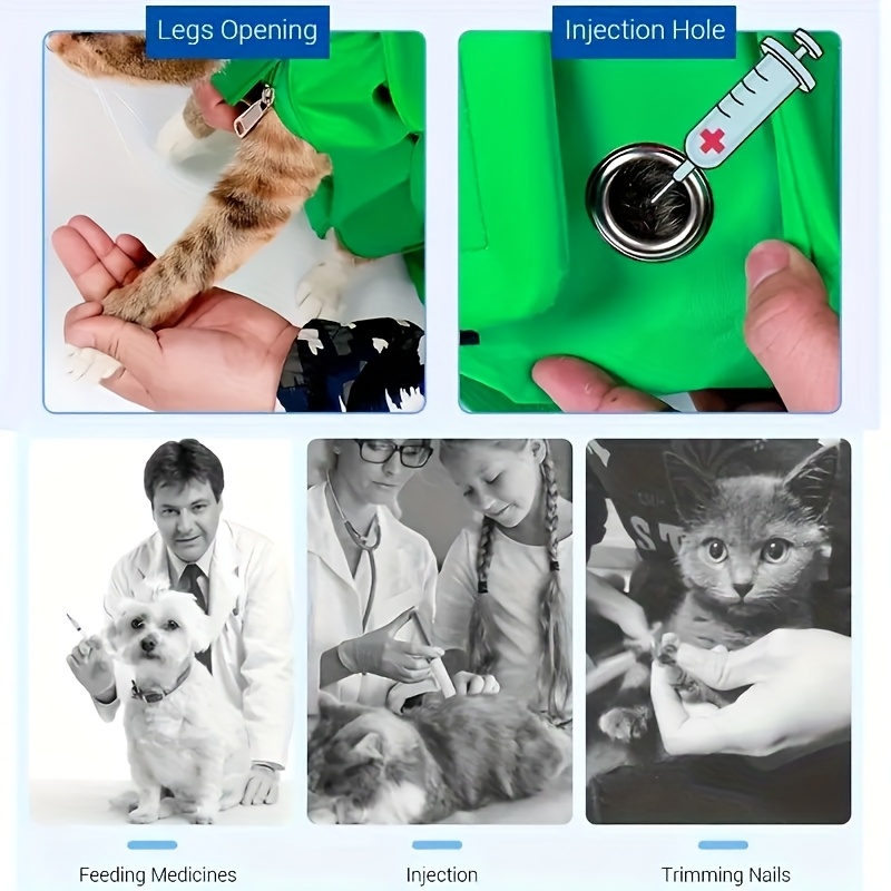 Cat and Dog Food, Pet toys,Treats, and Supplies | Free Shipping at yppet.com