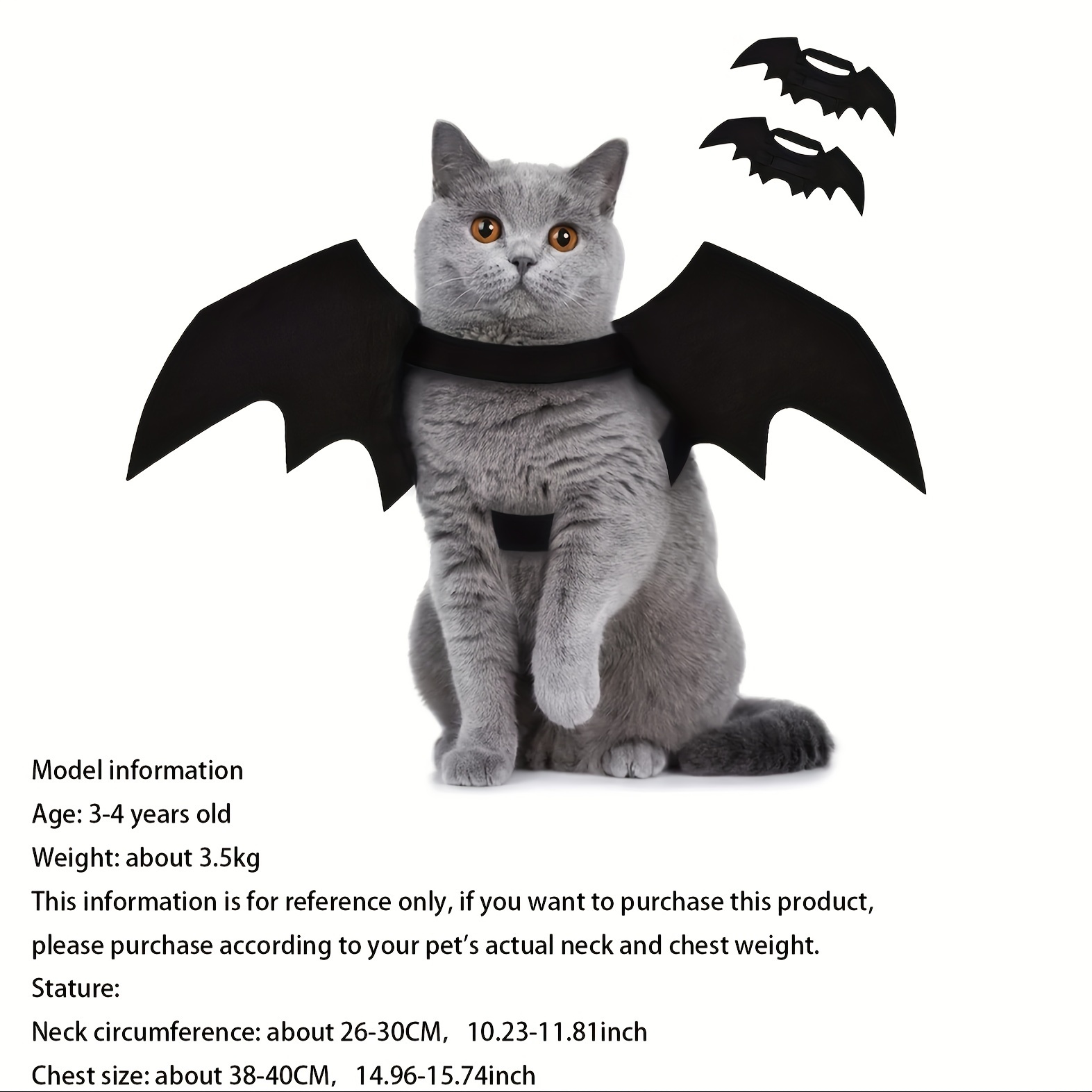 Cat and Dog Food, Pet toys,Treats, and Supplies | Free Shipping at yppet.com