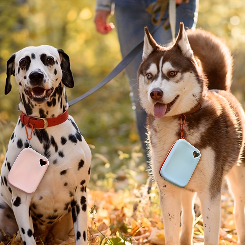 Cat and Dog Food, Pet toys,Treats, and Supplies | Free Shipping at yppet.com