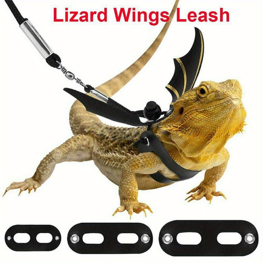 Cat and Dog Food, Pet toys,Treats, and Supplies | Free Shipping at yppet.com