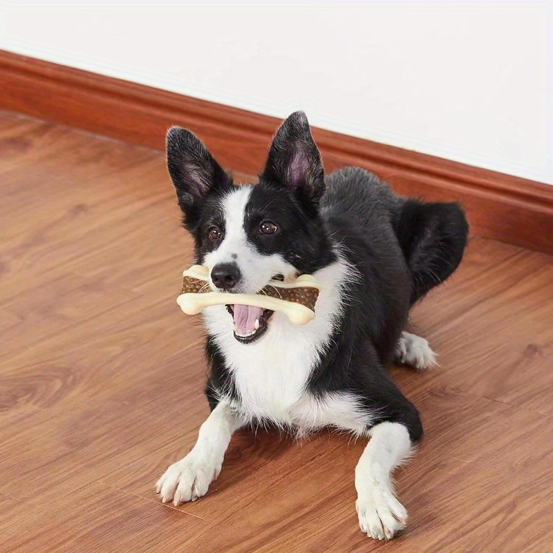 Cat and Dog Food, Pet toys,Treats, and Supplies | Free Shipping at yppet.com