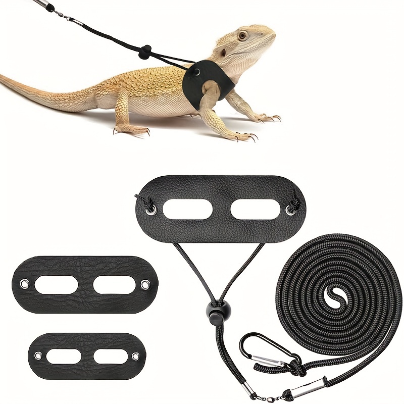 Cat and Dog Food, Pet toys,Treats, and Supplies | Free Shipping at yppet.com