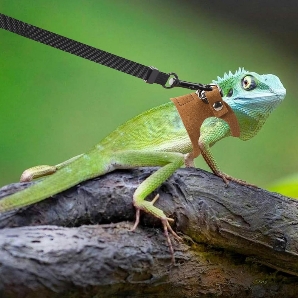 Cat and Dog Food, Pet toys,Treats, and Supplies | Free Shipping at yppet.com