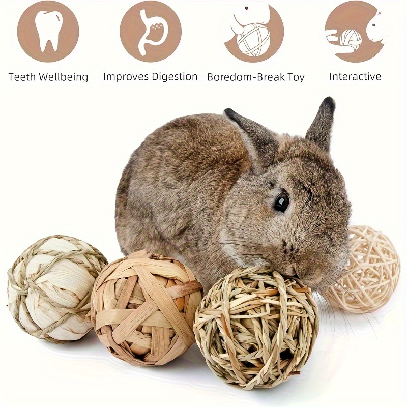 Cat and Dog Food, Pet toys,Treats, and Supplies | Free Shipping at yppet.com