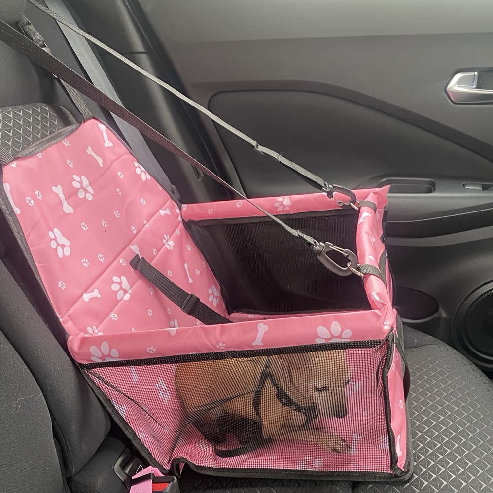 Cat and Dog Food, Pet toys,Treats, and Supplies | Free Shipping at yppet.com