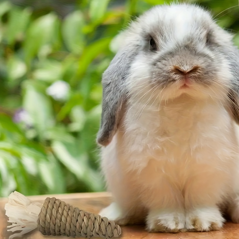 Cat and Dog Food, Pet toys,Treats, and Supplies | Free Shipping at yppet.com