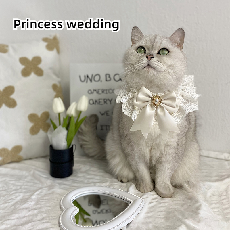 Cat and Dog Food, Pet toys,Treats, and Supplies | Free Shipping at yppet.com
