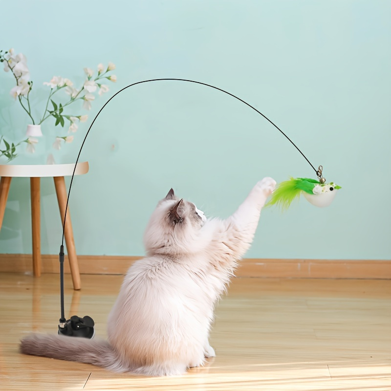 Cat and Dog Food, Pet toys,Treats, and Supplies | Free Shipping at yppet.com