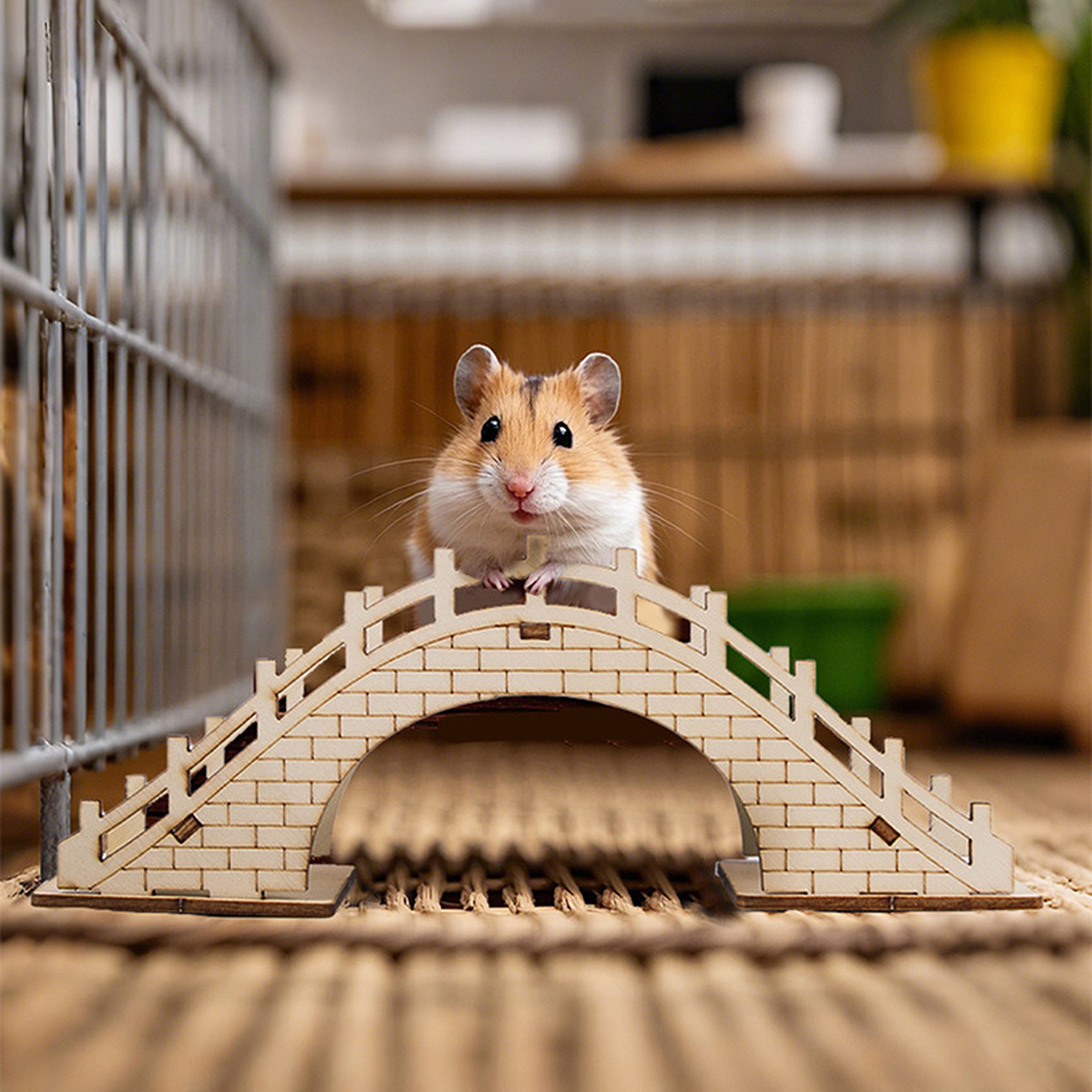 Cat and Dog Food, Pet toys,Treats, and Supplies | Free Shipping at yppet.com