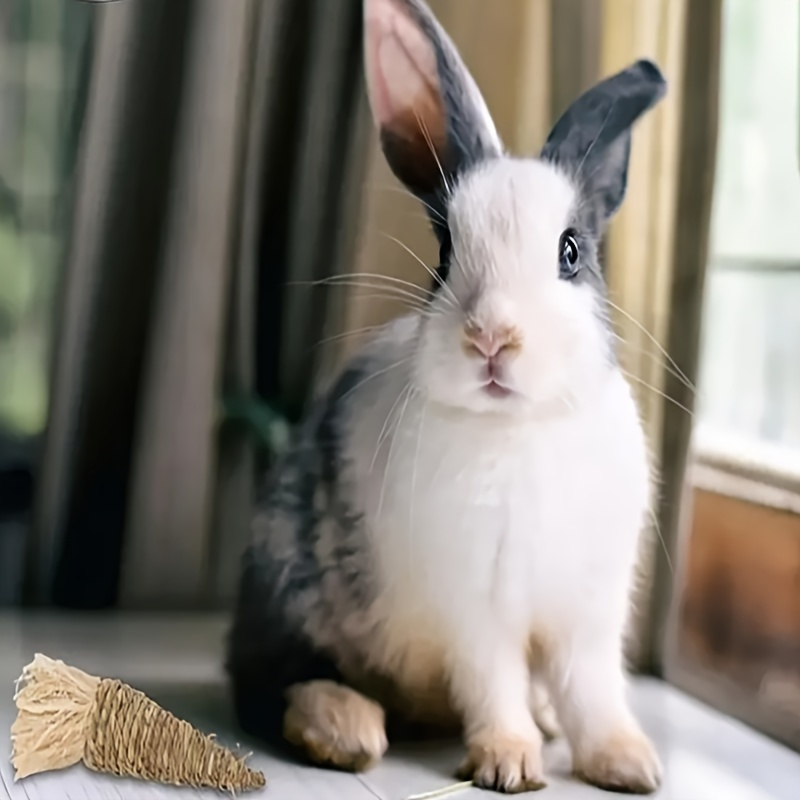 Cat and Dog Food, Pet toys,Treats, and Supplies | Free Shipping at yppet.com