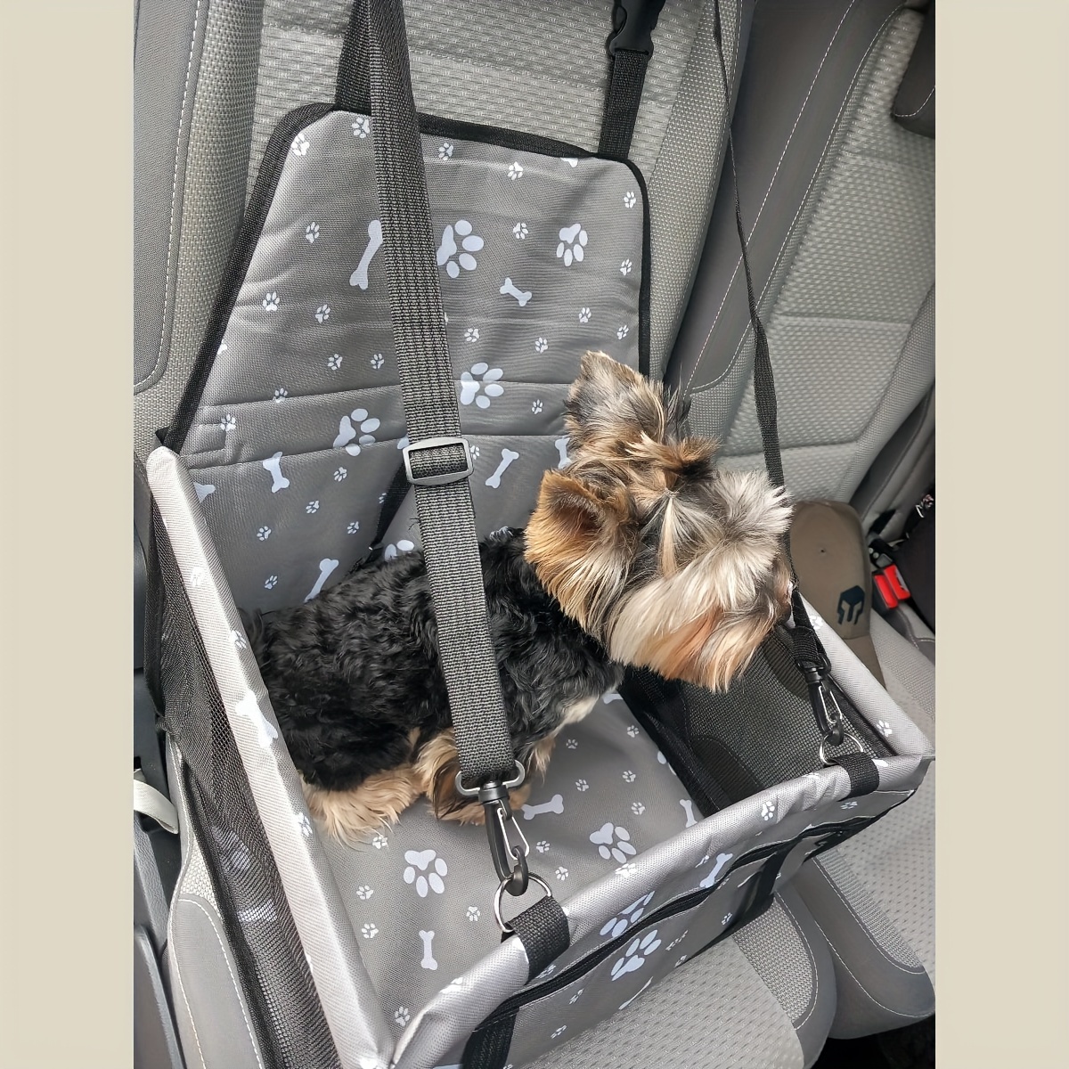 Cat and Dog Food, Pet toys,Treats, and Supplies | Free Shipping at yppet.com