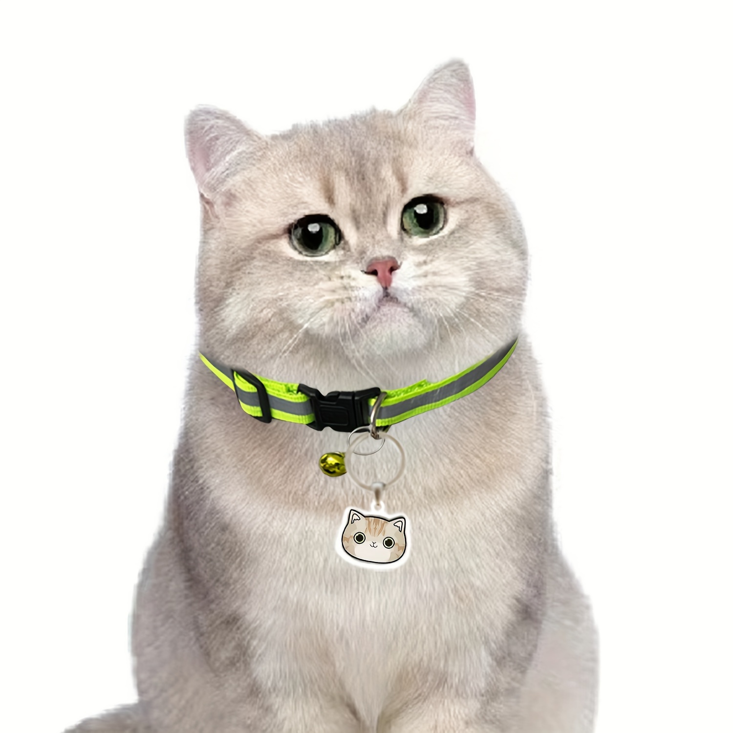 Cat and Dog Food, Pet toys,Treats, and Supplies | Free Shipping at yppet.com