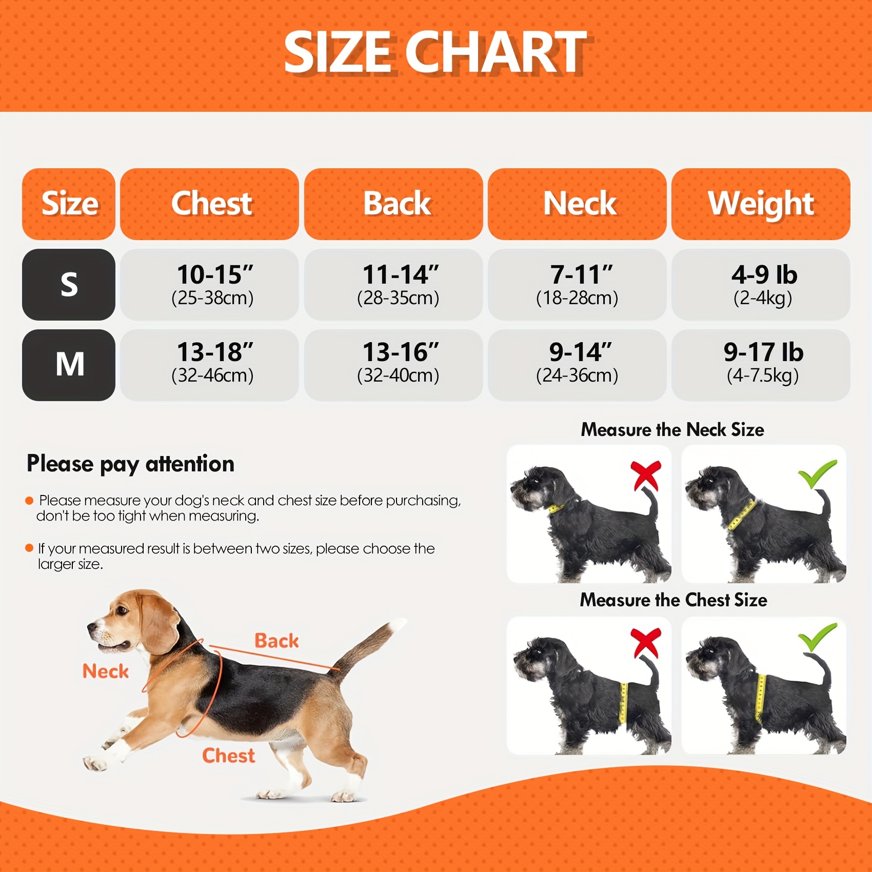 Cat and Dog Food, Pet toys,Treats, and Supplies | Free Shipping at yppet.com