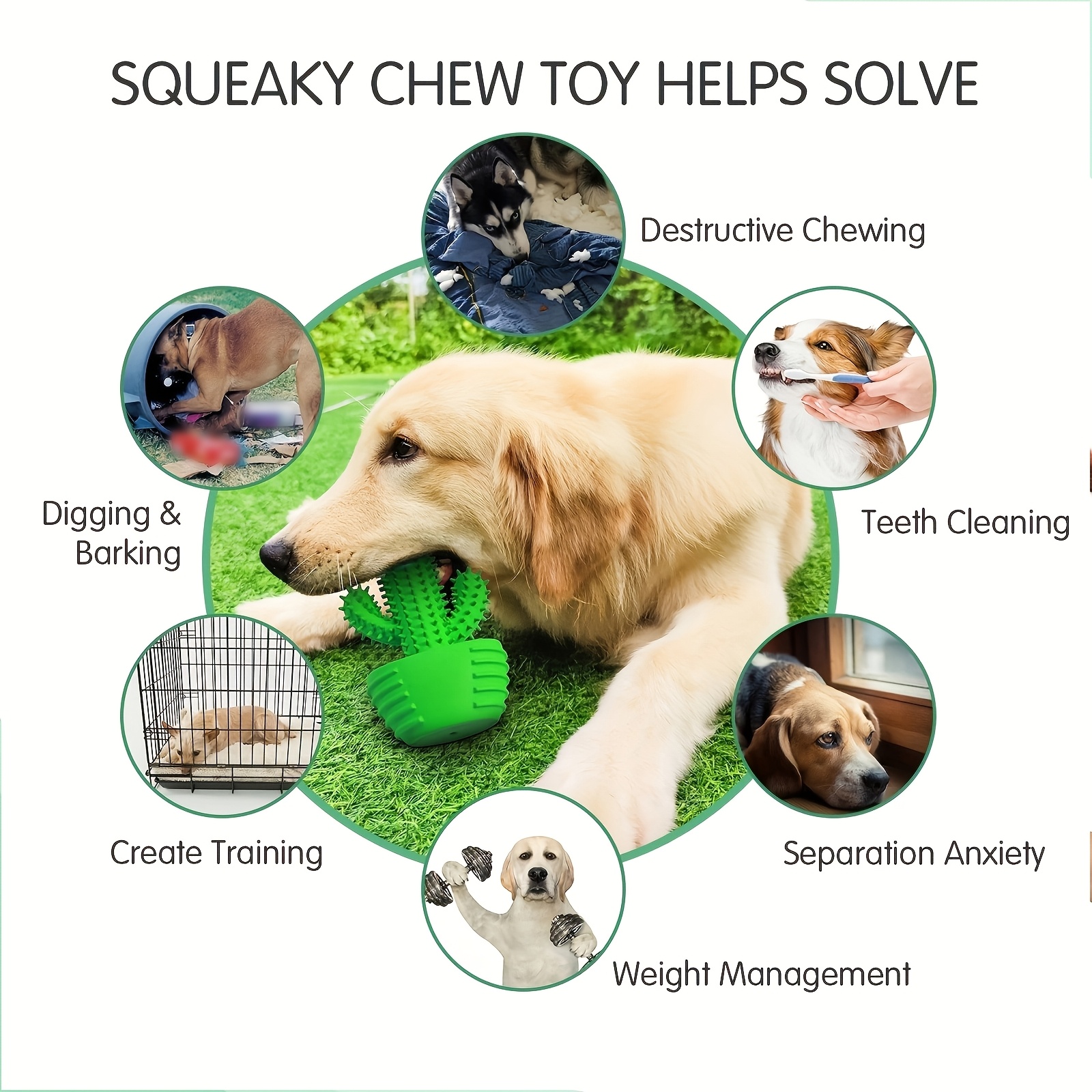 Cat and Dog Food, Pet toys,Treats, and Supplies | Free Shipping at yppet.com