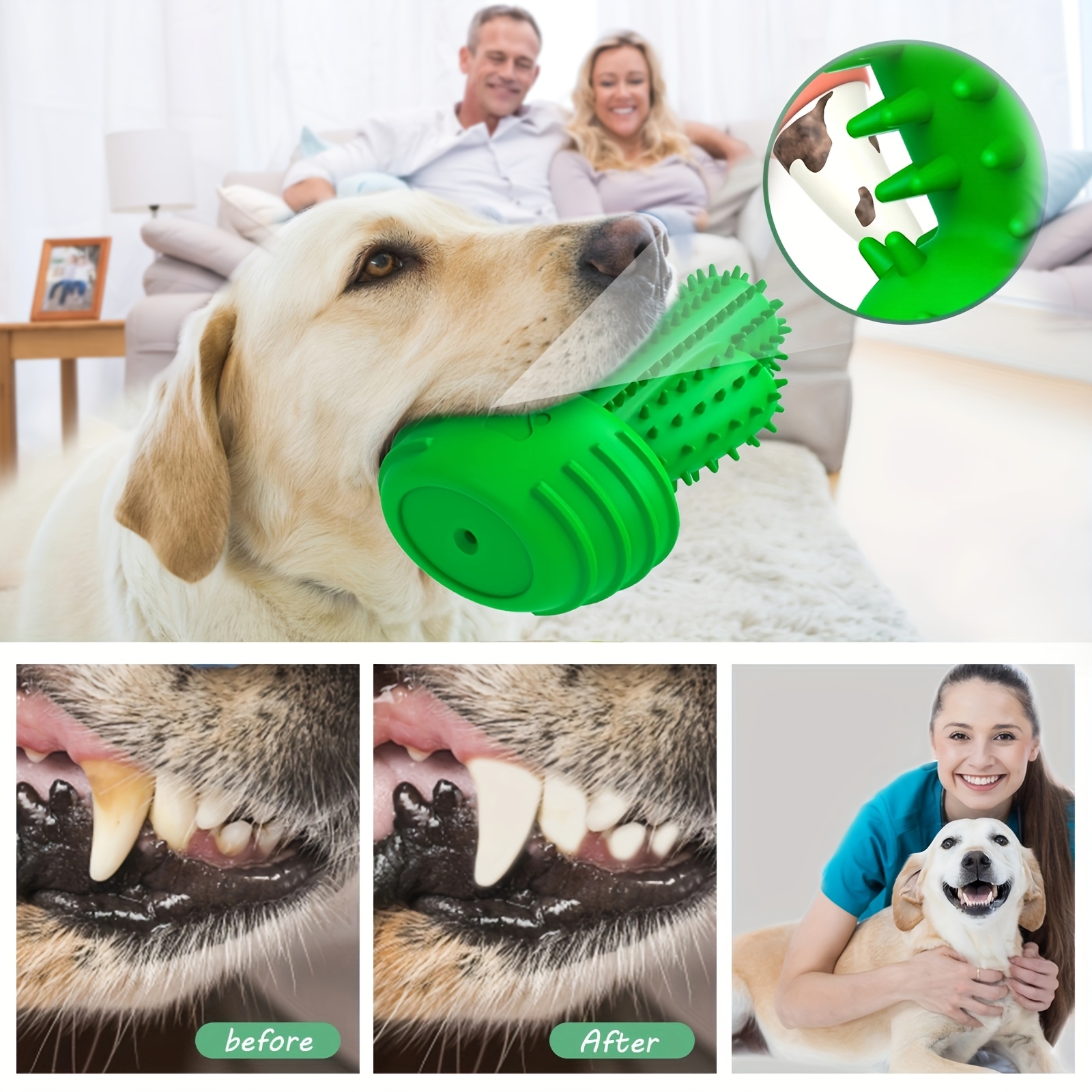 Cat and Dog Food, Pet toys,Treats, and Supplies | Free Shipping at yppet.com