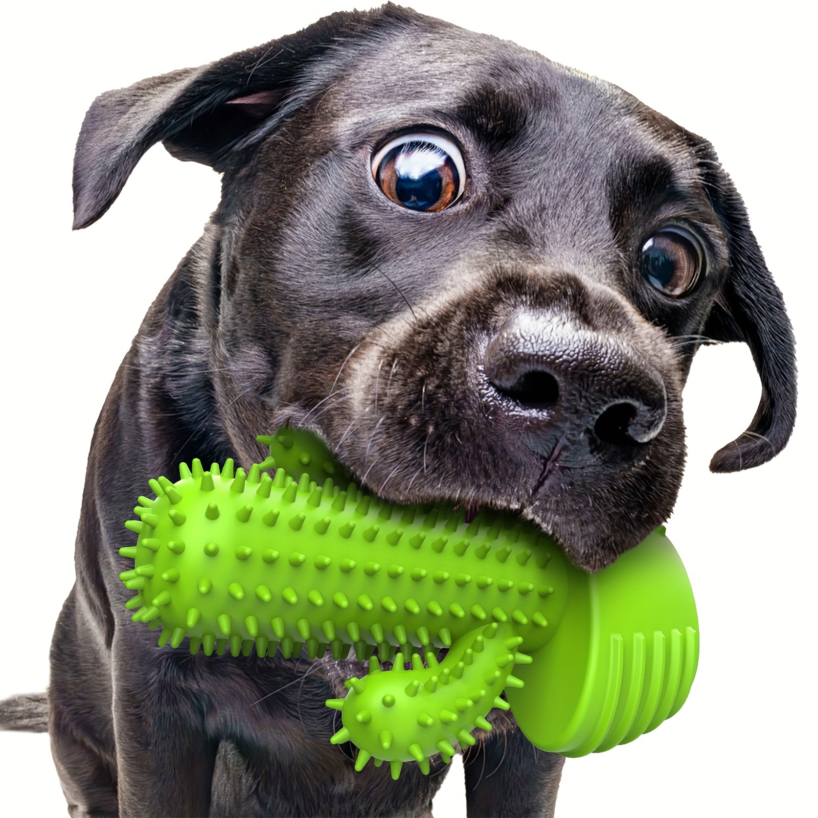 Cat and Dog Food, Pet toys,Treats, and Supplies | Free Shipping at yppet.com