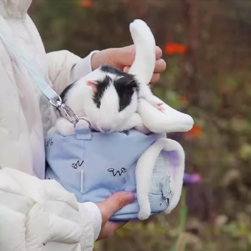 Cat and Dog Food, Pet toys,Treats, and Supplies | Free Shipping at yppet.com