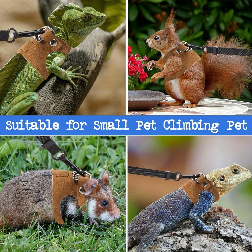 Cat and Dog Food, Pet toys,Treats, and Supplies | Free Shipping at yppet.com