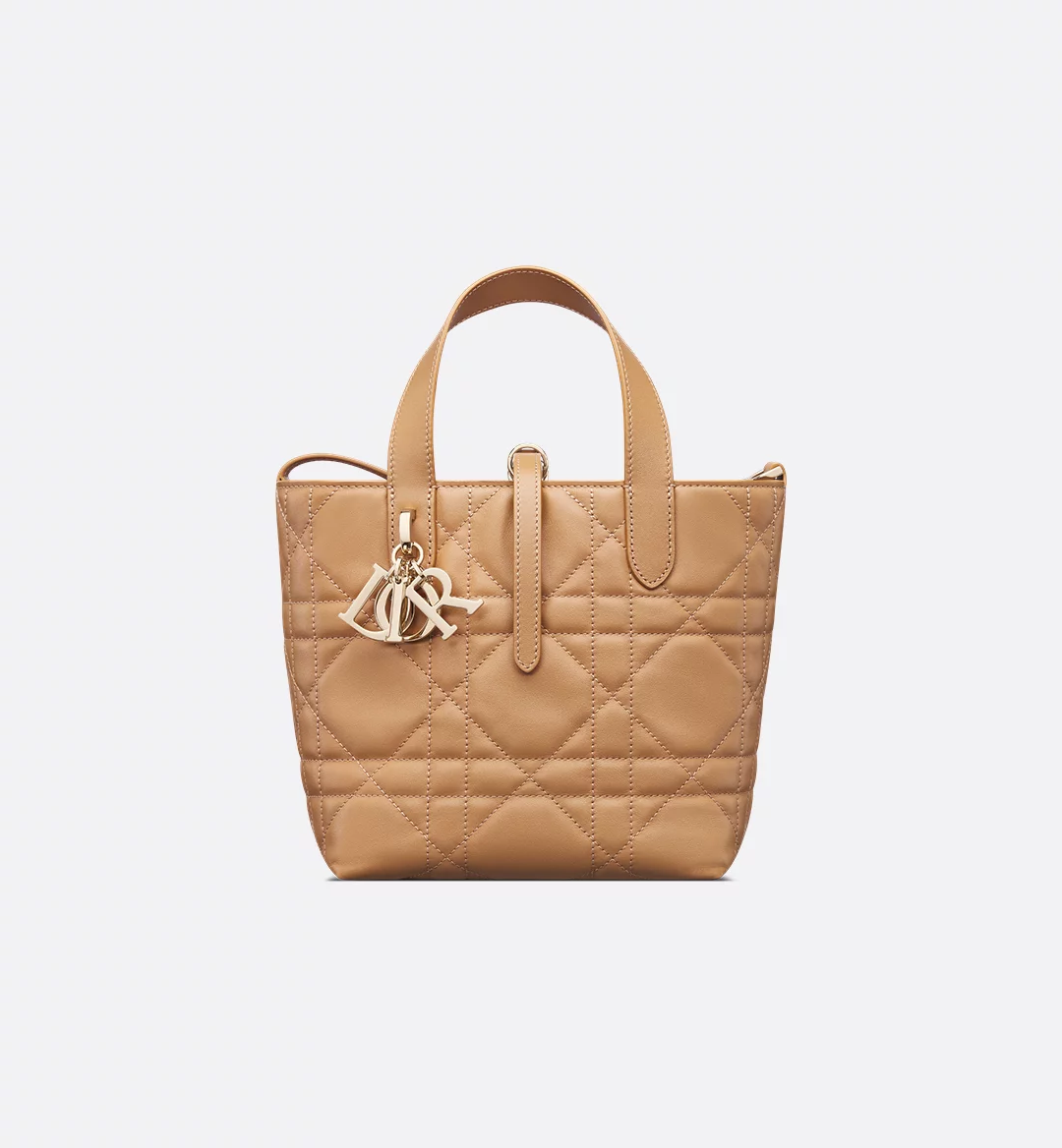 Replicate Dior Small Dior Toujours Vertical Tote Bag(1:1 replica)