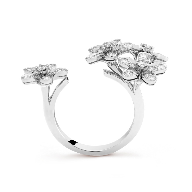 Replicate Socrate Between the Finger ring(1:1 replica)