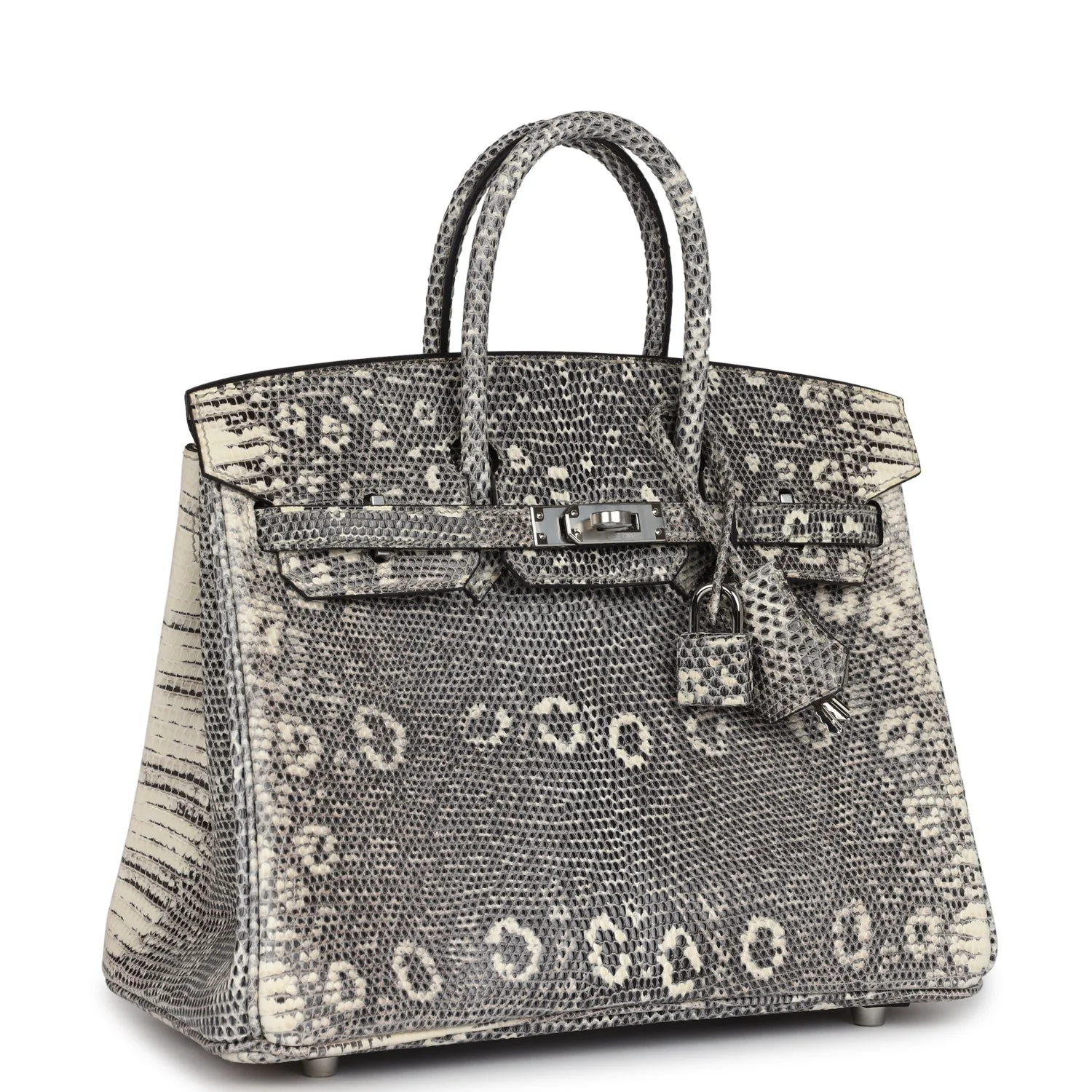 Replicate Hermes Birkin 25 Ombre Varanus Salvator Lizard Palladium Hardware(1:1 replica)