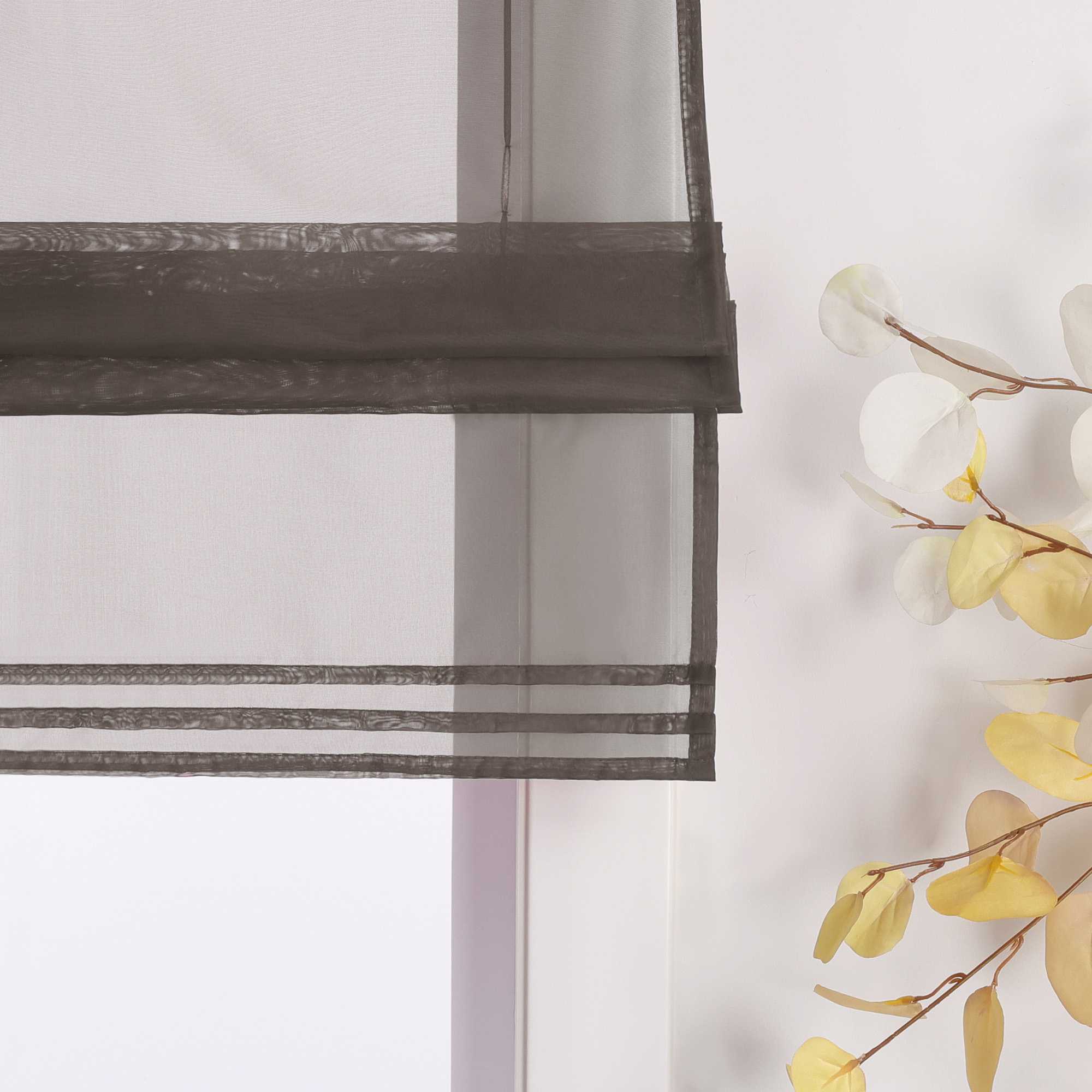 Rollos Schlaufengardine Unifarbe transparent Voile mit Dekofalten 1 Stück