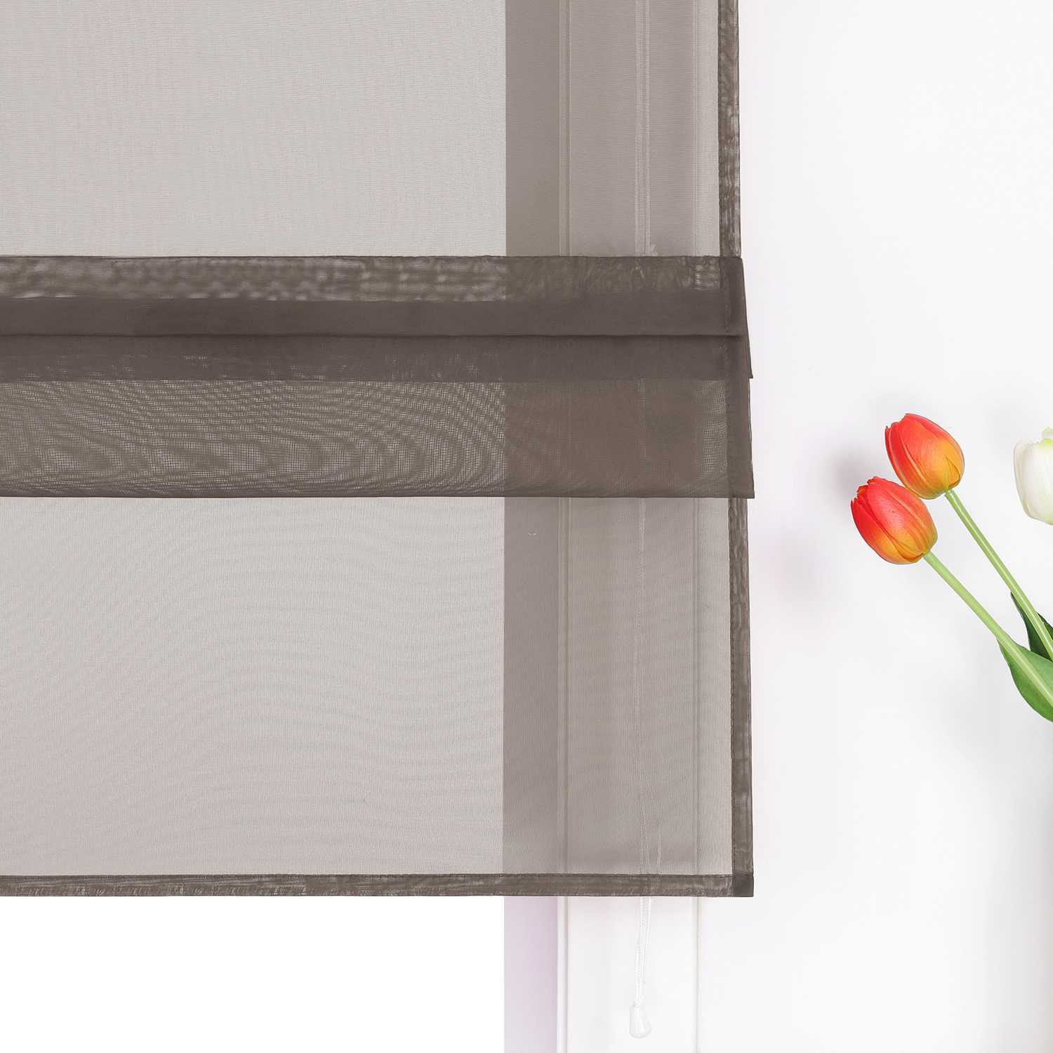 Raffrollo Voile Raffgardinen durch Tunnelzug Bändchenrollo Küche Gardinen Transparent Uni 1 Stück