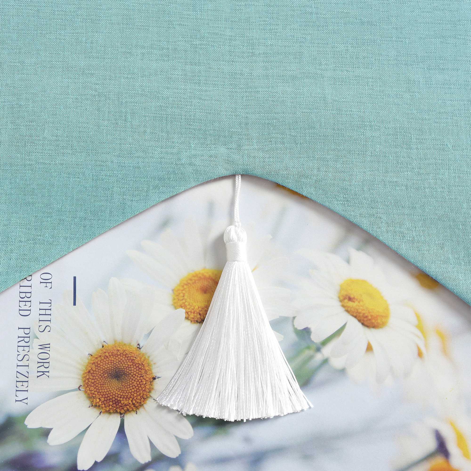 Delien Raffrollo mit Schlaufen und Quasten | Elegantes Design für stilvolle Fenster