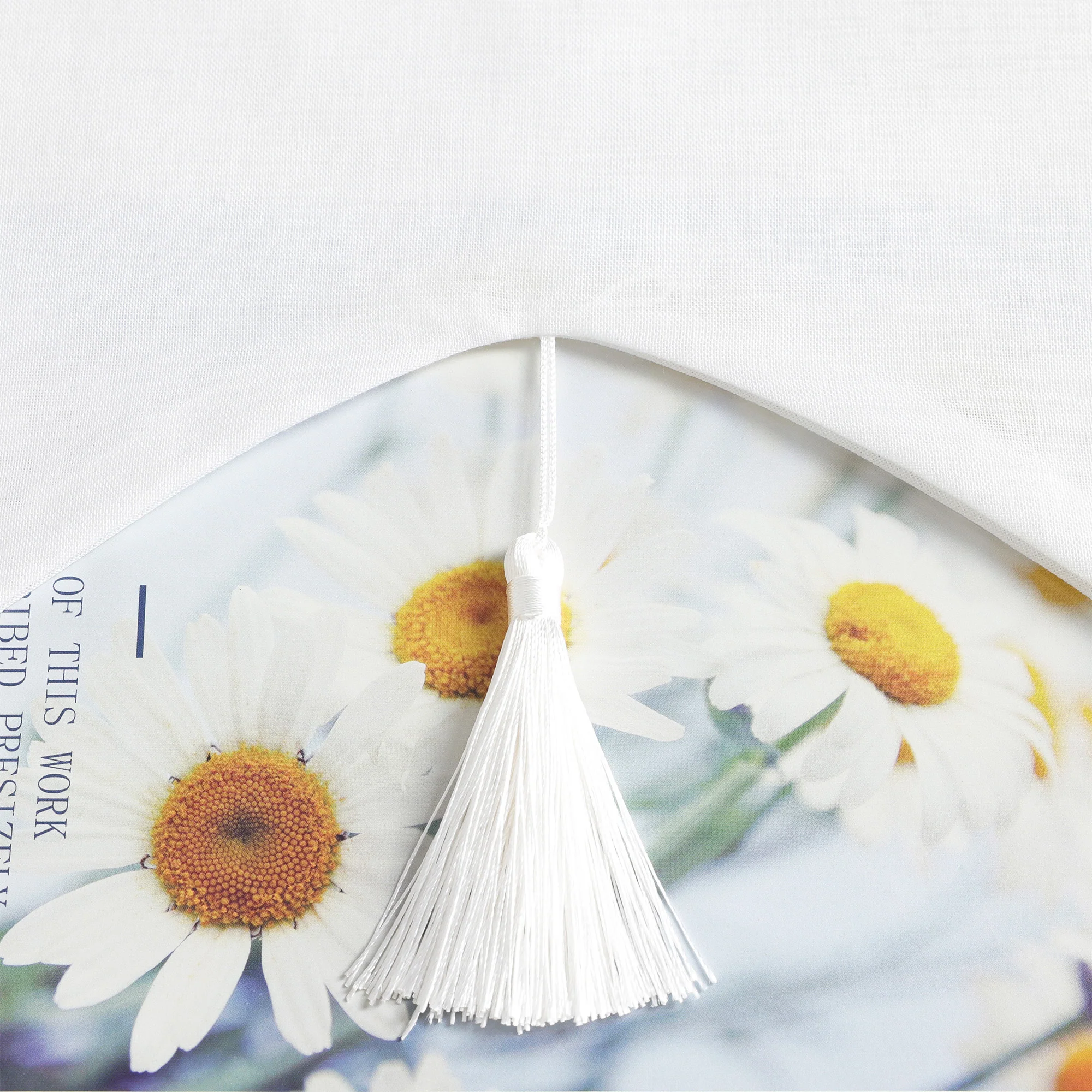 Delien Raffrollo mit Schlaufen und Quasten | Elegantes Design für stilvolle Fenster