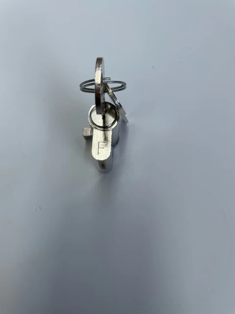 Fermod Lock Barrel with Two Keys